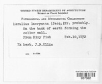 Image Associated With the Occurence